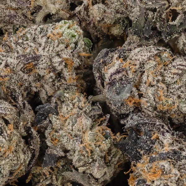 Platinum Rockstar (Smalls) (Lucky Farms) - Image 2