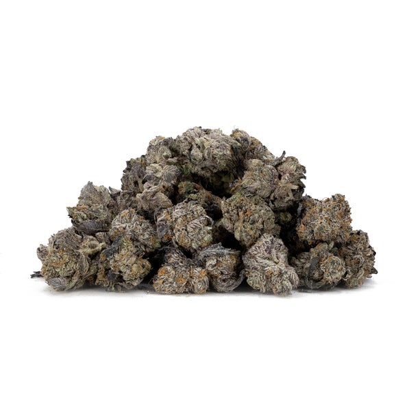 Platinum Rockstar (Smalls) (Lucky Farms)