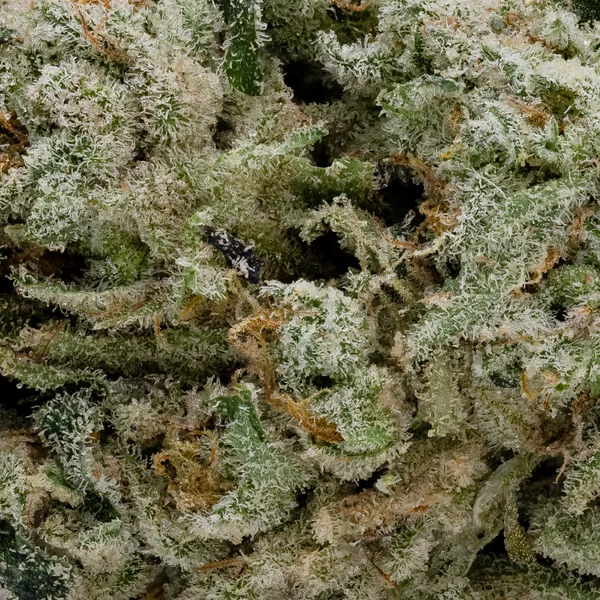 Thin Mints (Cream Of The Crop) - Image 2