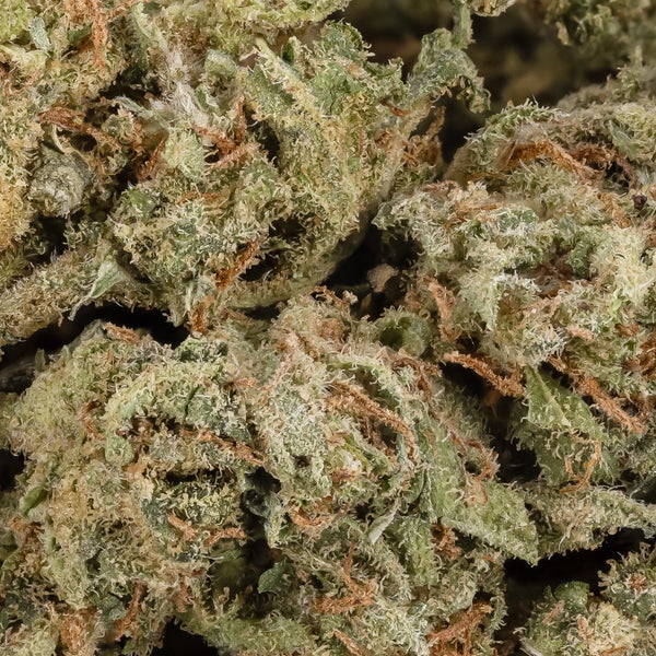 AK-47 (Dollar Treez) - Image 2
