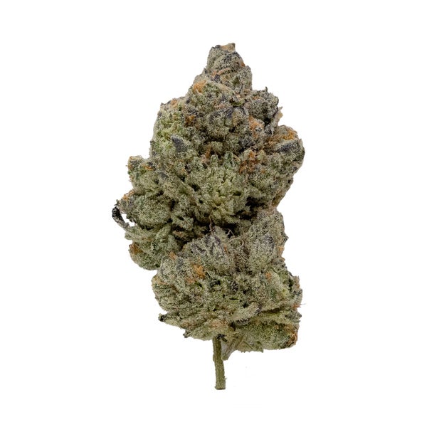 LA Wifi (Mystic Cannabis)