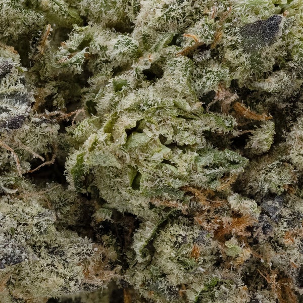 LA Wifi (Mystic Cannabis) - Image 2