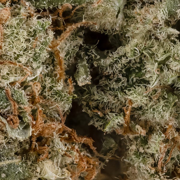 Lemon OG (Okanaganja) - Image 6