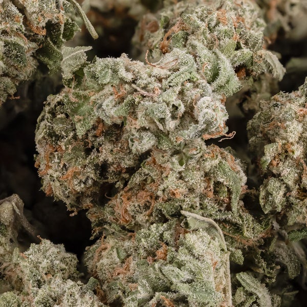 MKU (Smalls) (Lucky Farms) - Image 2