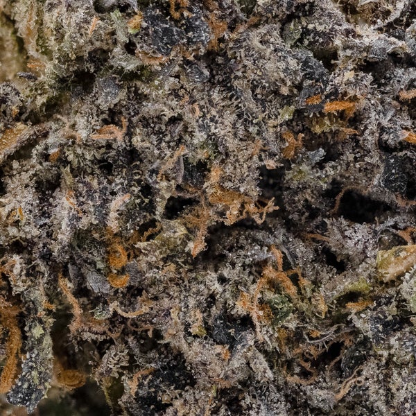 Sunset Sherbert (Vibrant Cannabis) - Image 3