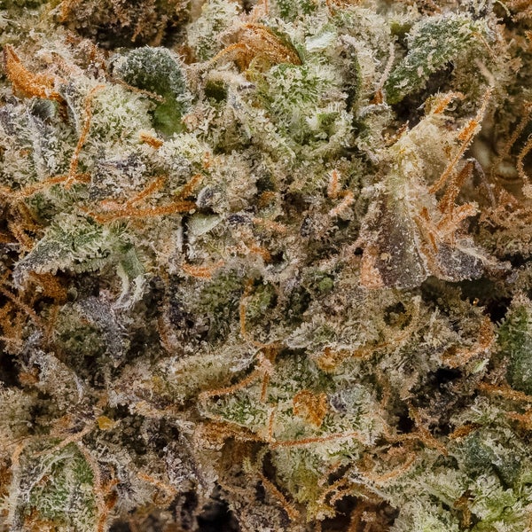 Tahiti Lime (Superdank) - Image 3