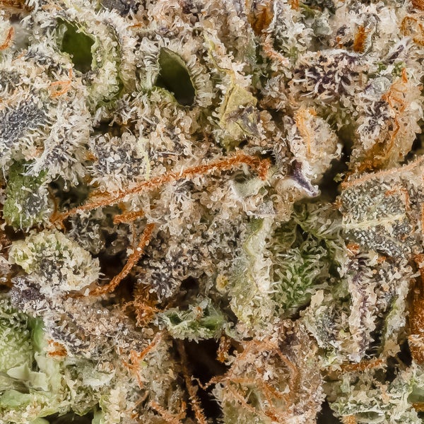 Tahiti Lime (Superdank) - Image 4