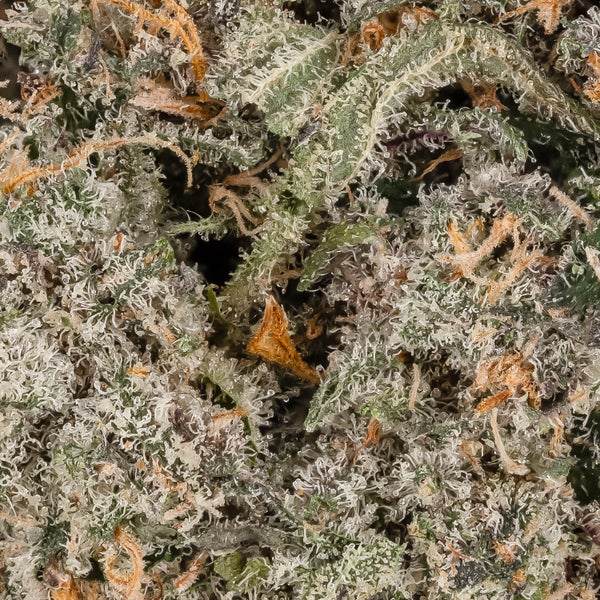 Zkittlez (Merry Jane) - Image 3