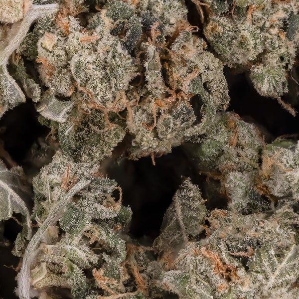 Gelato (Smalls) (Lucky Farms) - Image 2