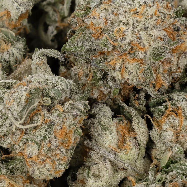 Super Pink (smalls) (Lucky Farms) - Image 2