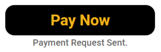 Pay now button example