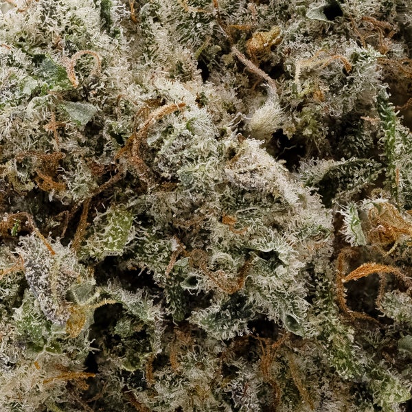 White LSD (Okanaganja) - Image 3
