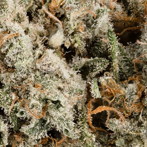 White LSD (Okanaganja) - Image 4