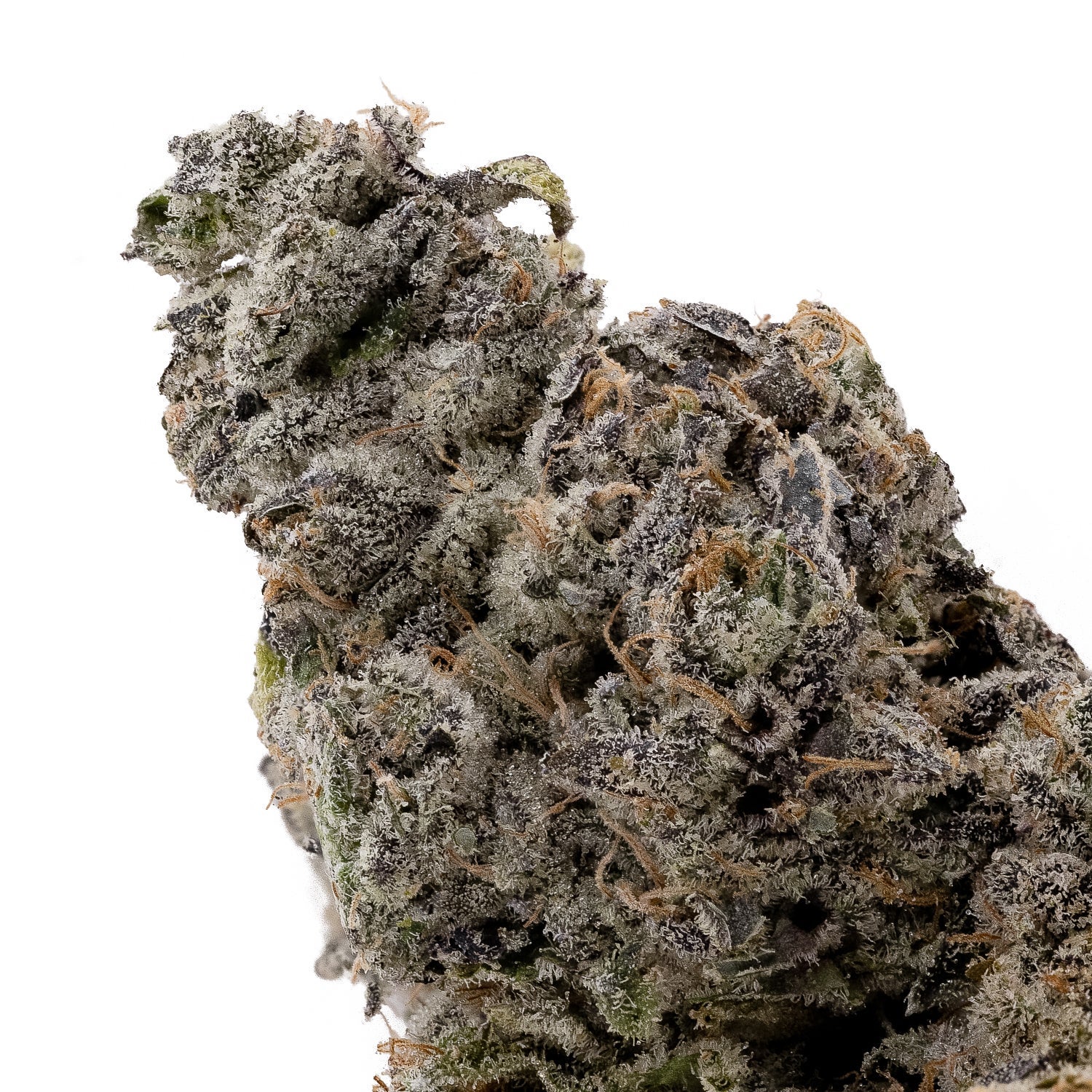 Monkey Mints (Merry Jane) - Image 2