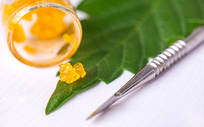 The Art and Science of Cannabis extracts: From Plant to Concentrate
