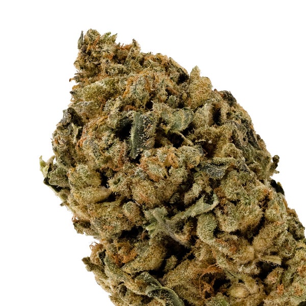 Banana Tangie (Dollar Treez) - Image 2
