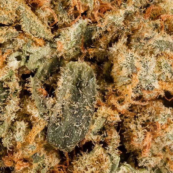 Banana Tangie (Dollar Treez) - Image 4