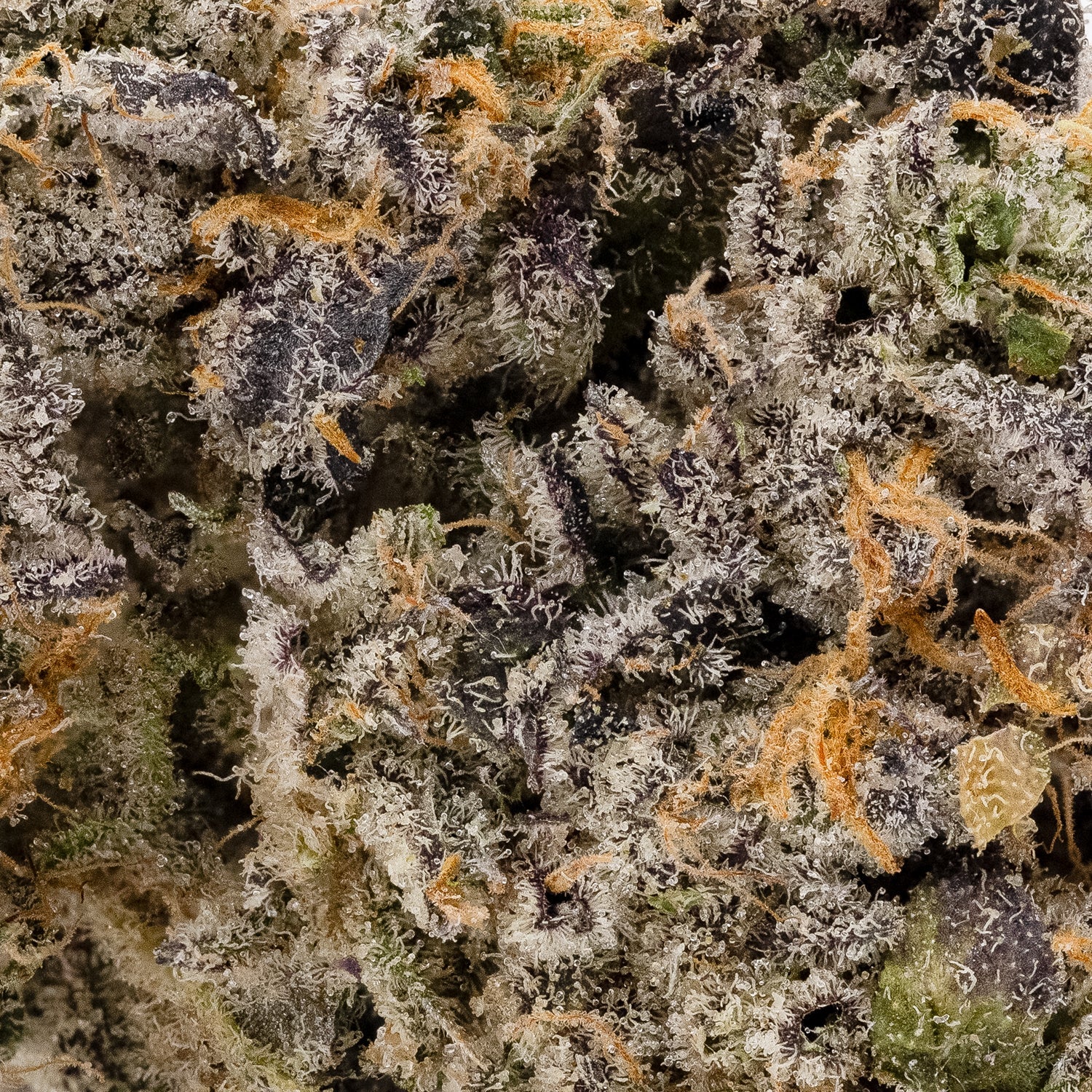 Face Off (Superdank) - Image 4