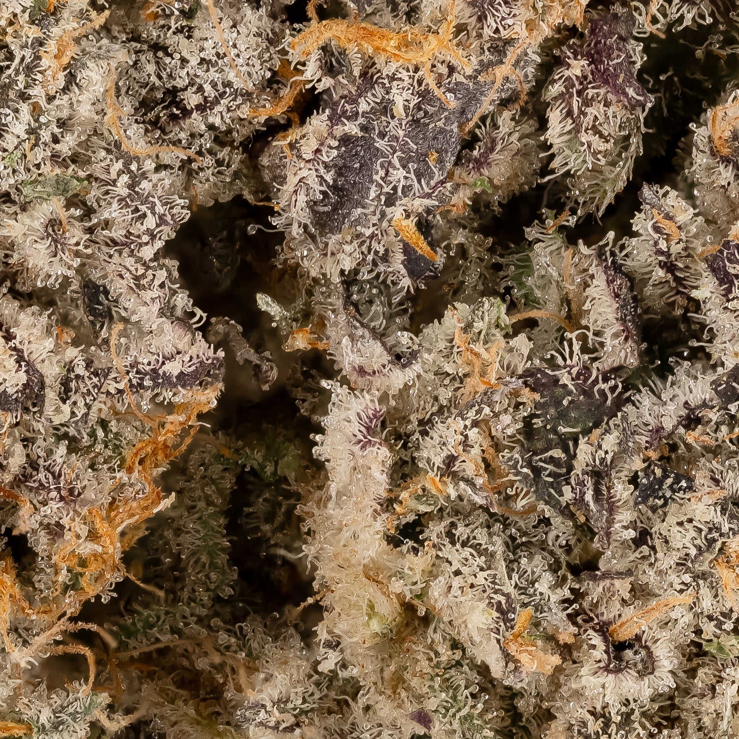 Face Off (Superdank) - Image 3