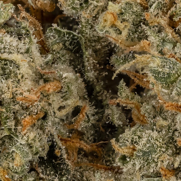 Super Lemon Haze (Hoot Cannabis) - Image 5