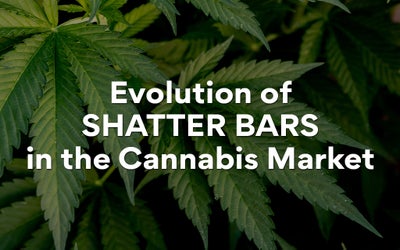 Evolution of Shatter Bars in the Cannabis Market