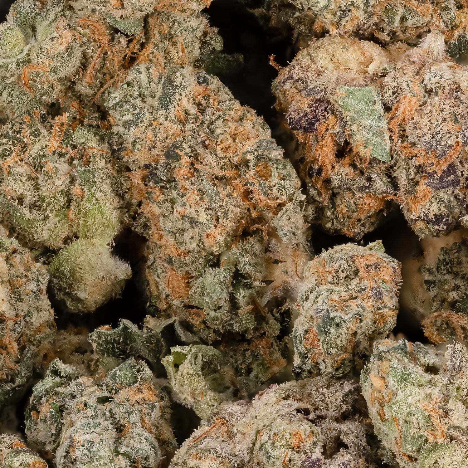 Okanaganja - Bubba Kush (Smalls) - Image 3