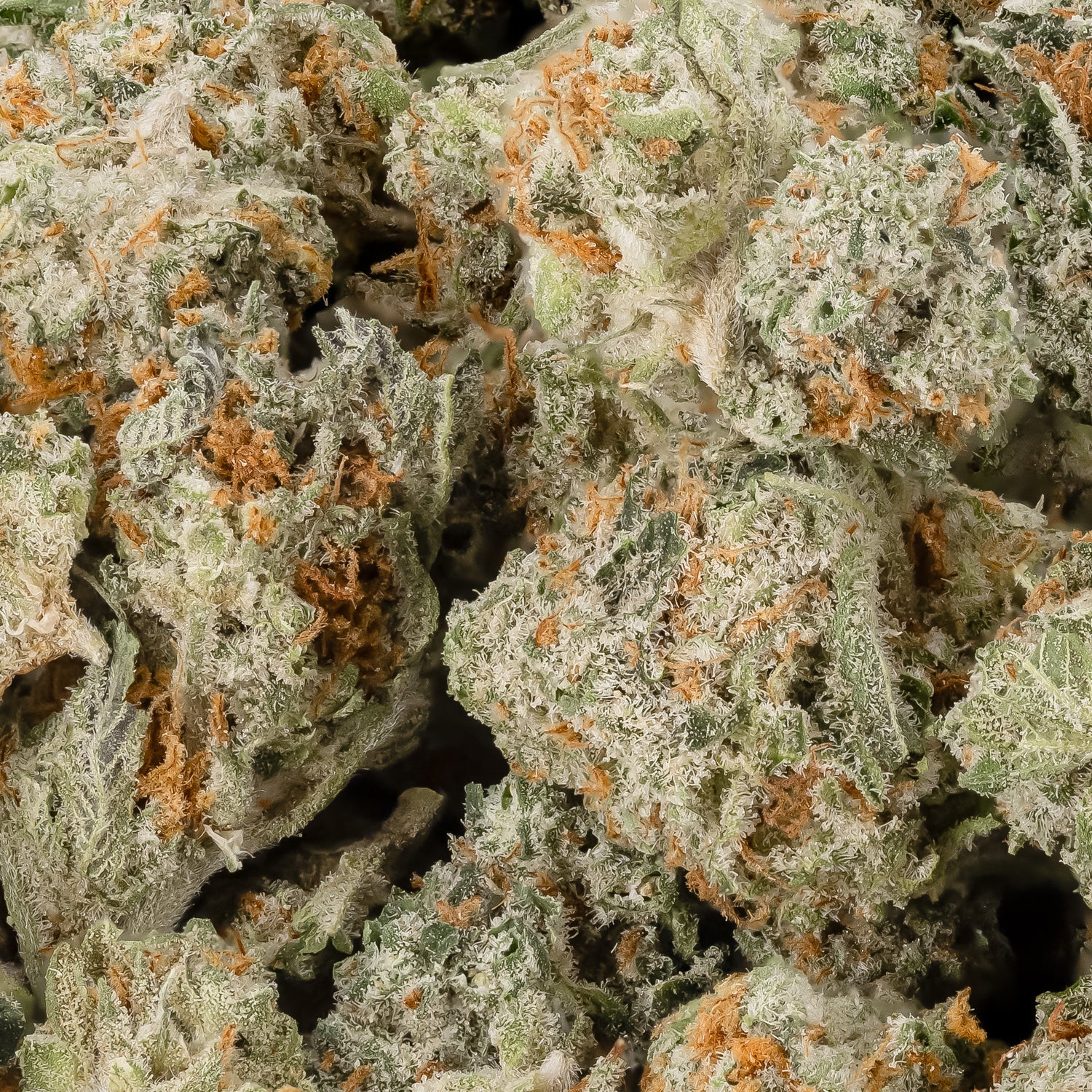 Lucky Farms - Blueberry OG (Smalls) - Image 2