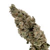 Okanaganja - Garlic Cookies - Image 3