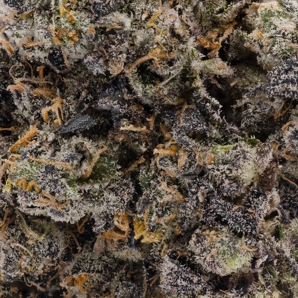 Oso Fuego - Rainbow Chip #4 - Image 6
