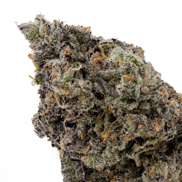 Oso Fuego - Rainbow Chip #4 - Image 4