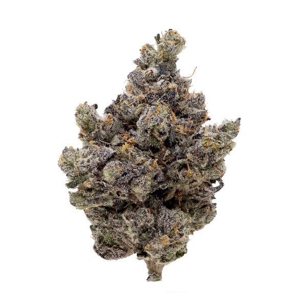 Oso Fuego - Rainbow Chip #4 - Image 3