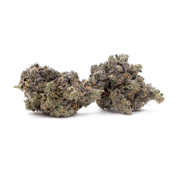 Oso Fuego - Rainbow Chip #4 - Image 5