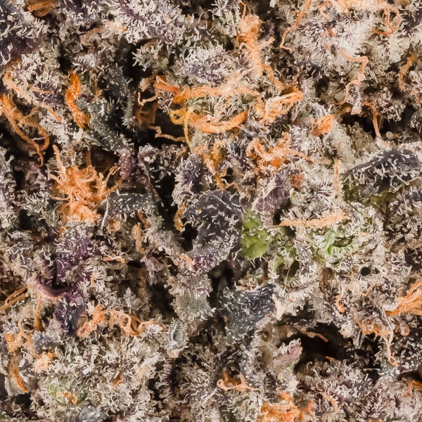 Oso Fuego - Rainbow Chip #4 - Image 7