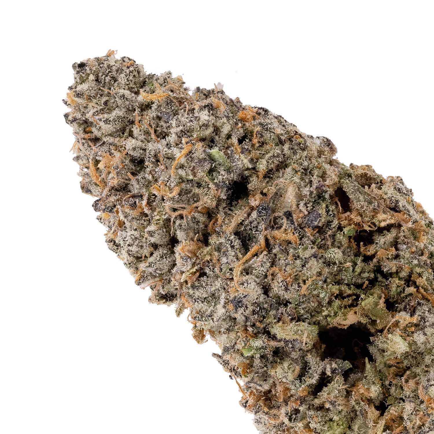 Jungle Ridge - Girl Scout Cookies (Smalls) - Image 3