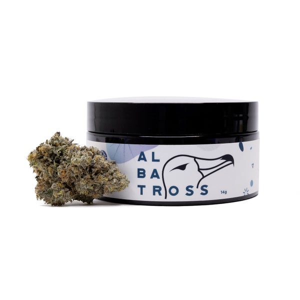 Albatross - Pug Junky - Image 6