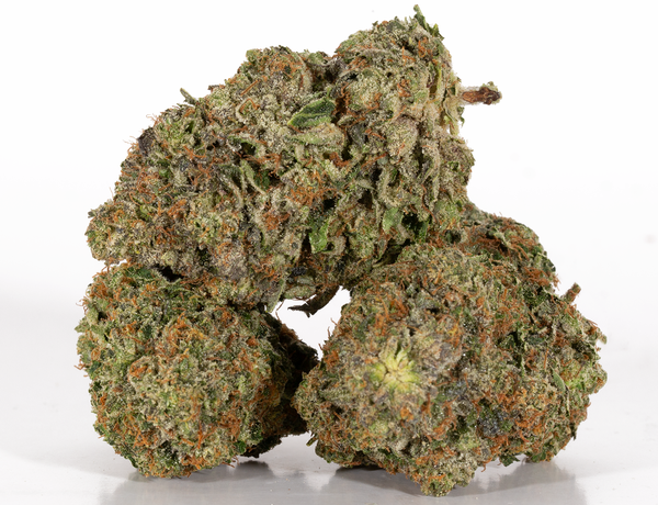 Alpine Royal - Moonwalker - Image 2