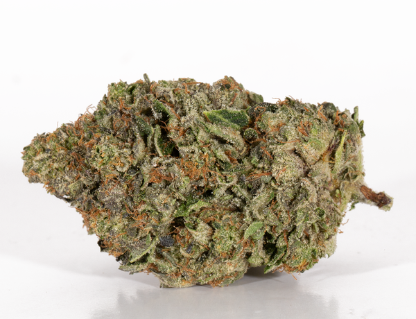 Alpine Royal - Moonwalker - Image 4