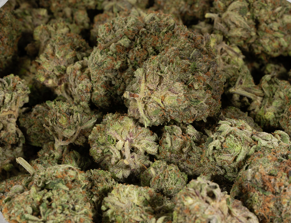 Alpine Royal - Moonwalker - Image 5