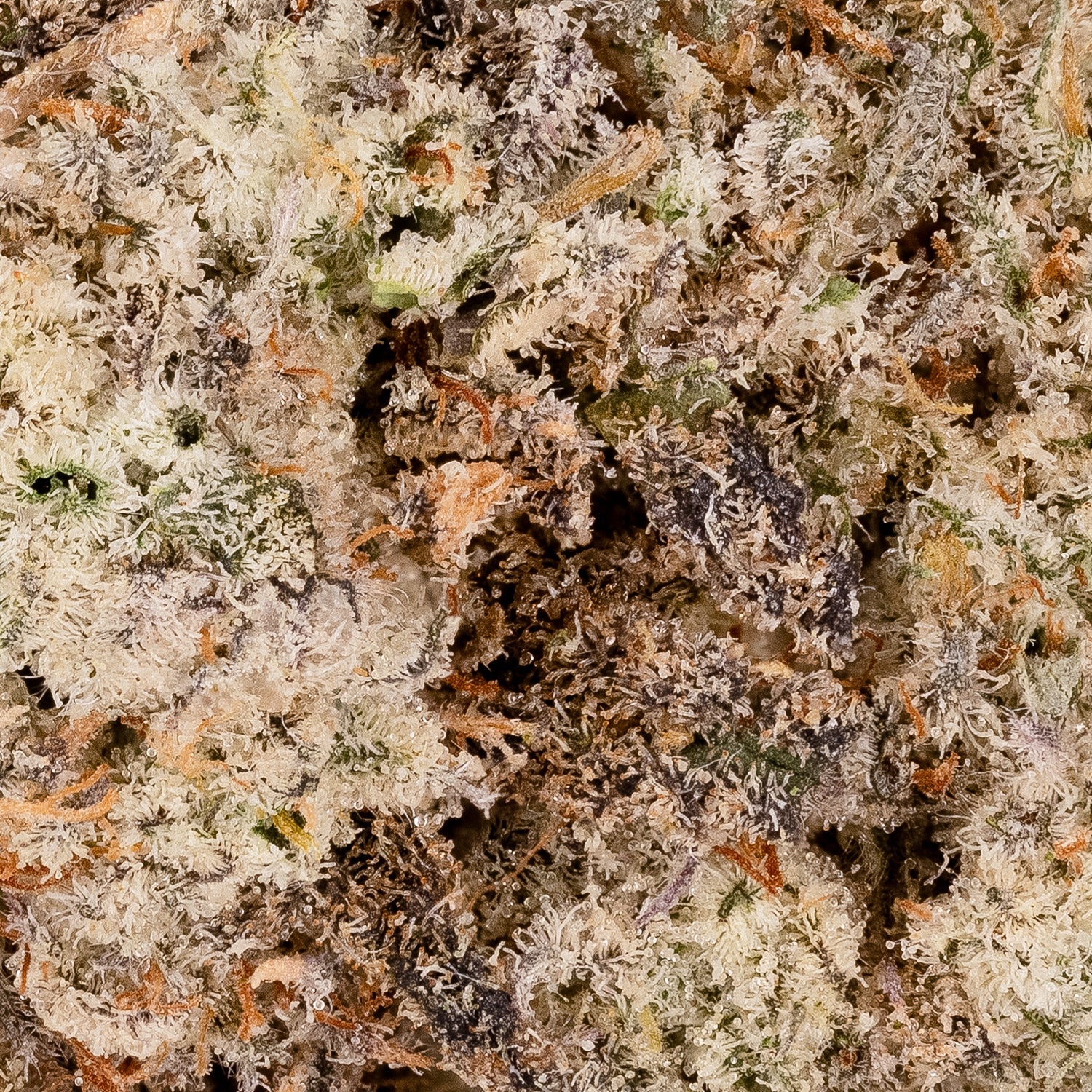 Lucky Farms - Jet Fuel - Image 5