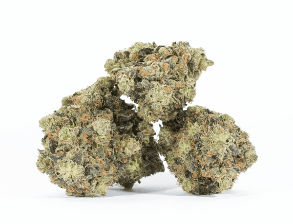 BC Legacy - Khalifa Kush - Image 4