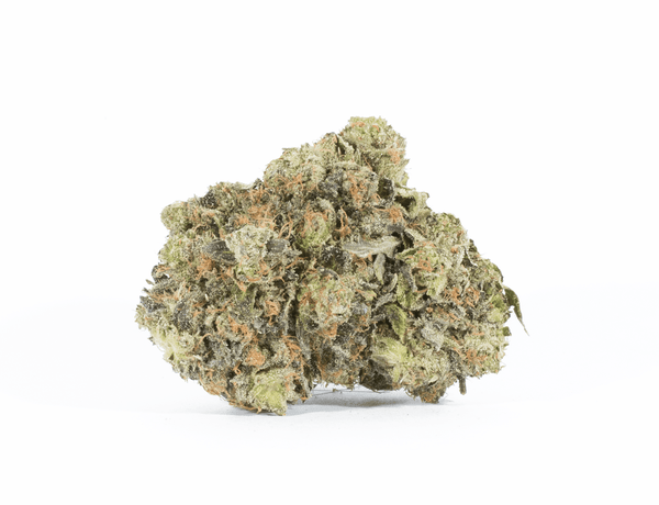 BC Legacy - Khalifa Kush - Image 2