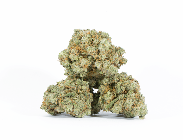 Astral Herbs - Mochi - Image 4