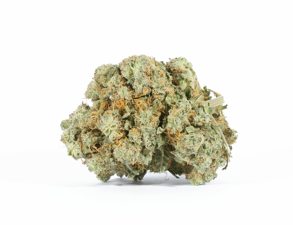 Astral Herbs - Mochi - Image 2