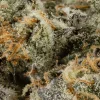 Hoot Cannabis - Garlic Breath - Image 7