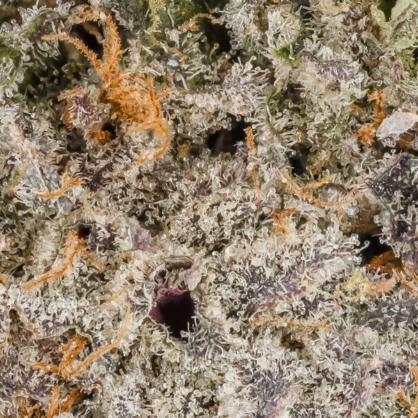 Hoot Cannabis - Grape Runtz - Image 7