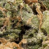 Hoot Cannabis - Super Lemon Kush - Image 8