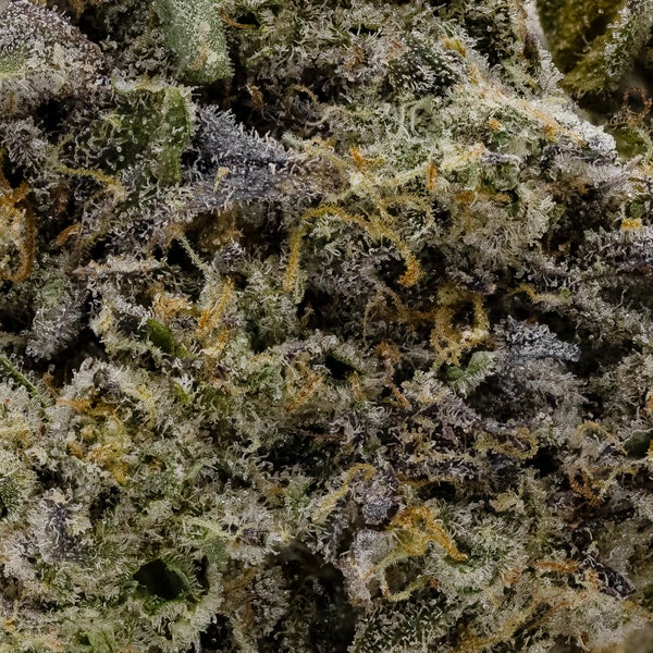 Hoot Cannabis - Ice Cream Cake - Image 6