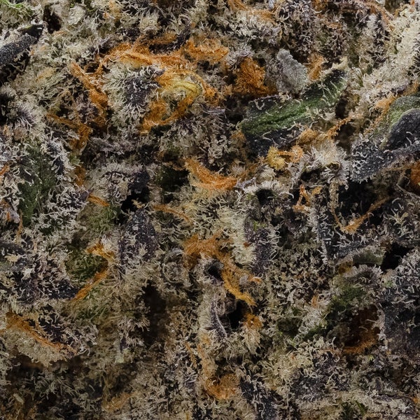 Hoot Cannabis - Tang Breath - Image 7