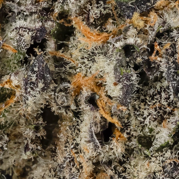 Hoot Cannabis - Tang Breath - Image 6