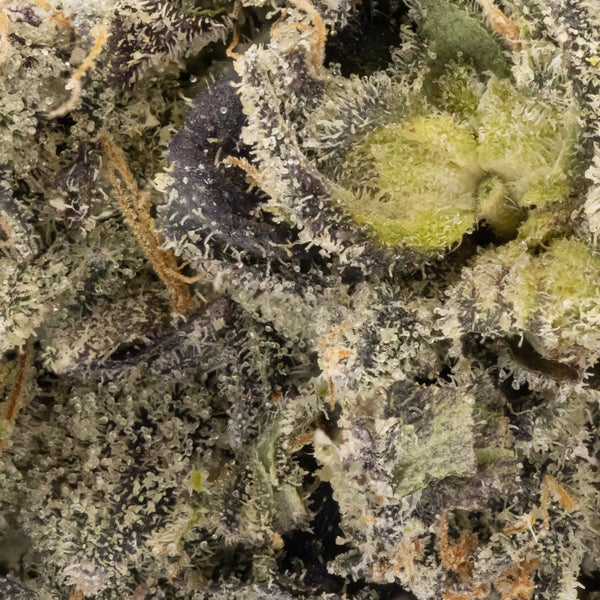 Mystic Cannabis - Biscotti Kush Mints - Image 5